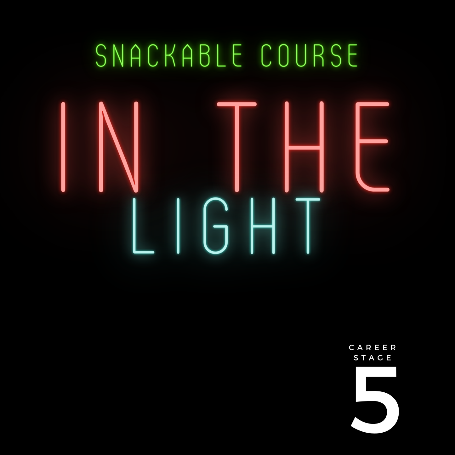 Snackable Course with Certificate: In The Light